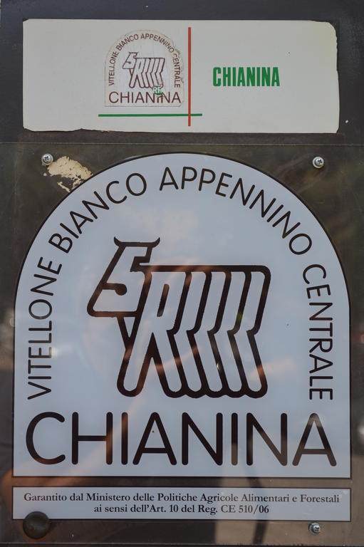 Sella - Monte Amiata